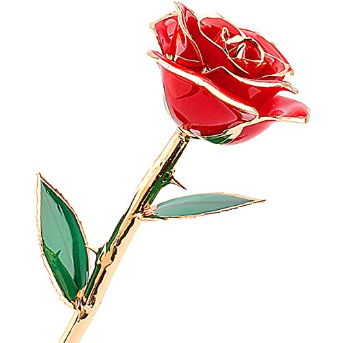 ZJchao Echte in Gold getauchte Rose, Valentinstags-Geschenke für Sie 24 Karat Gold Dekoration rot von ZJchao