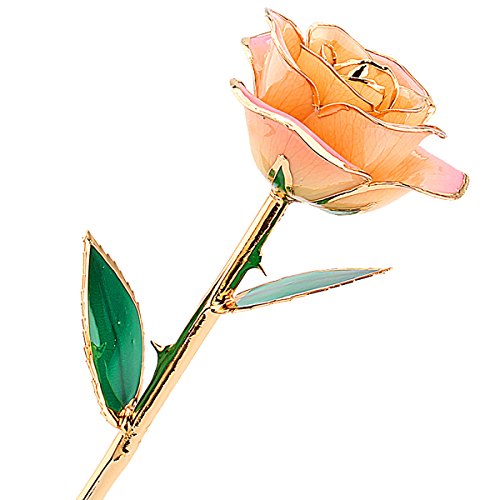 ZJchao Echte in Gold getauchte Rose, Valentinstags-Geschenke für Sie 24 Karat Gold Dekoration hellrosa von ZJchao