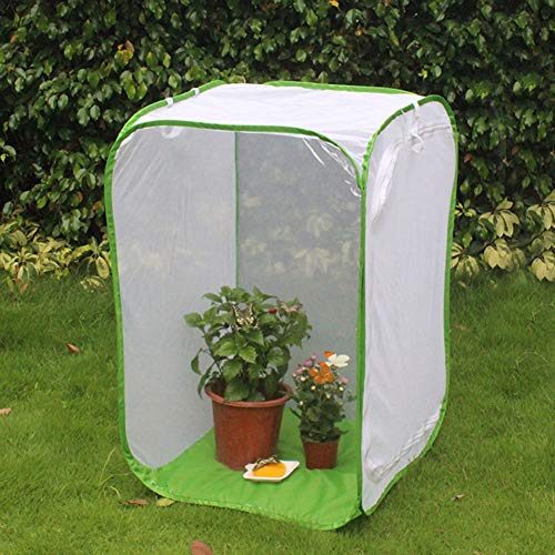 ZJchao Klappkäfig, Proof Net 60 X 60 X 90 cm / 23,6 23,6 35,4 Zoll für Schmetterlinge Kit Mesh Tuch für Leichter Reinigung ZJchao Klappkäfig, Proof Net 60 X 60 X 90 cm / 23,6 23,6 35,4 Zoll für Schmetterlinge Kit Mesh Tuch für Leichter Reinigung von ZJchao