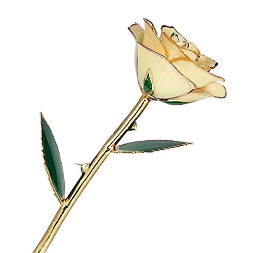 Gold getaucht Rose, Valentinstag Geschenke für Ihr ZJchao 24 Karat Gold getaucht Real Blumen, Love Geschenk für Freundin Geburtstag Weihnachten Jahrestag Tag Home Office Dekoration weiß von ZJchao