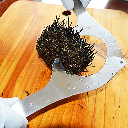 ZJchao Seeigel, Meeresfrüchte-Werkzeug, Edelstahl, Seeigelschneider, Seeigelschneider, Schere für Offene Seeigel ZJchao Seeigel, Meeresfrüchte-Werkzeug, Edelstahl, Seeigelschneider, Seeigelschneider, Schere für Offene Seeigel von ZJchao