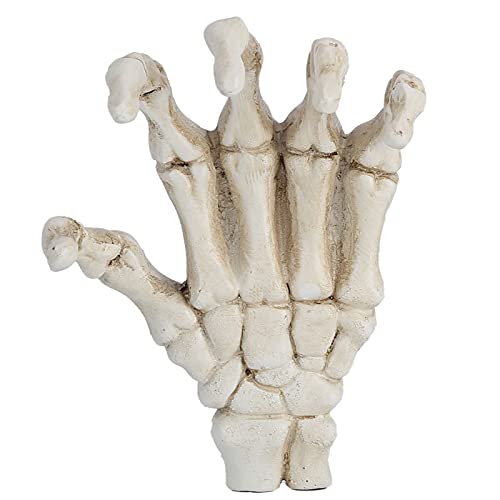 ZJchao Skeletthände, Halloween Skelett Hände Zombie Hände Gefälschte Hand mit Hoher Härte Widerstand Leichtes Gewicht Handknochen Ornamente für das Unterrichten von Werkzeughalterungen von ZJchao
