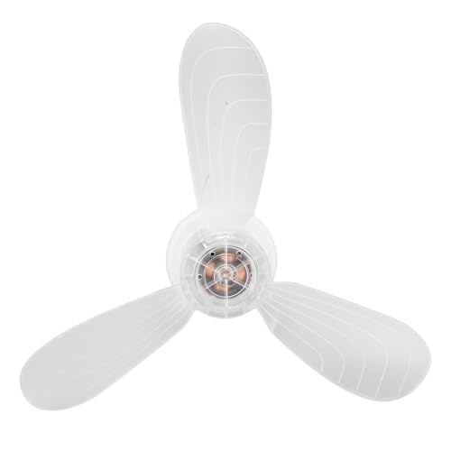 ZJchao Sockelventilator, Ruhige Flexible 360 Grad Rotierende Mini -Sockel -Deckenventilator Wireless E27 E26 Basisventilator für Küchenbadezimmer Schlafzimmer ZJchao Sockelventilator, Ruhige Flexible 360 Grad Rotierende Mini -Sockel -Deckenventilator Wireless E27 E26 Basisventilator für Küchenbadezimmer Schlafzimmer von ZJchao