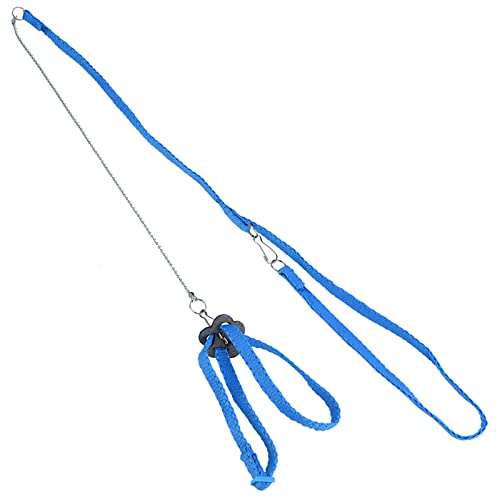 ZJchao Verstellbarer Vogelkabelbaum Weicher Papagei -Leinen -Haustier -Training -Gurtwaschable Wiederverwendbar mit Glasfasermaterial für das Spielen Im Freien (Blue) von ZJchao