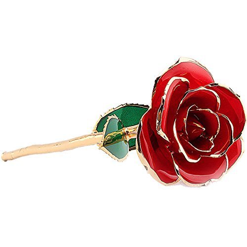 Echte Rose in 24 kt Gold getaucht, Geschenk zum Valentinstag, ein Geschenk für die Liebste zum Geburtstag, zu Weihnachten, zum Jahrestag, dekorative Blume rot von ZJchao