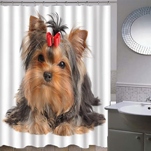 Duschvorhang 120x180 Duschvorhang Anti-schimmel 3D Motiv Yorkshire Terrier braune Hunde Duschvorhang mit 12 Duschvorhangringen Wasserabweisend Duschvorhänge von ZLKEJI