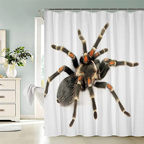 ZLKEJI Duschvorhang 120x180 cm Rotknie-Vogelspinne Duschvorhang Set Spinne Duschvorhänge Wasserdicht Stoff Anti-Schimmel Bad Vorhäng Polyester Waschbar Badezimmer Vorhänge 3D Motiv Shower Curtain ZLKEJI Duschvorhang 120x180 cm Rotknie-Vogelspinne Duschvorhang Set Spinne Duschvorhänge Wasserdicht Stoff Anti-Schimmel Bad Vorhäng Polyester Waschbar Badezimmer Vorhänge 3D Motiv Shower Curtain von ZLKEJI