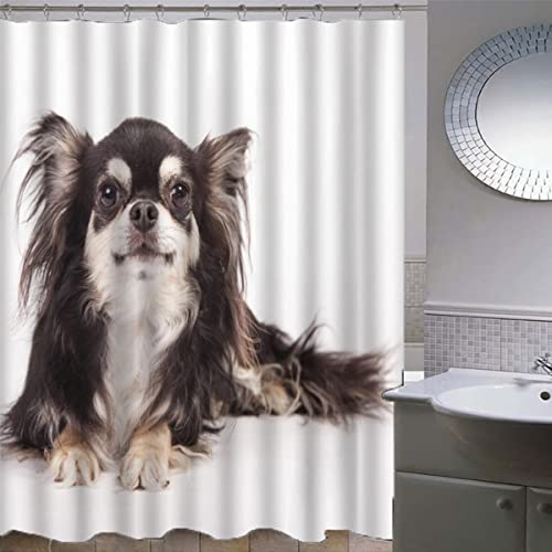 ZLKEJI Duschvorhang 180x180 Langhaariger Chihuahua Duschvorhang Set weiß Duschvorhänge Wasserdicht Anti-Schimmel Bad Vorhäng Polyester Waschbar Badezimmer Vorhänge 3D Motiv Shower Curtain von ZLKEJI