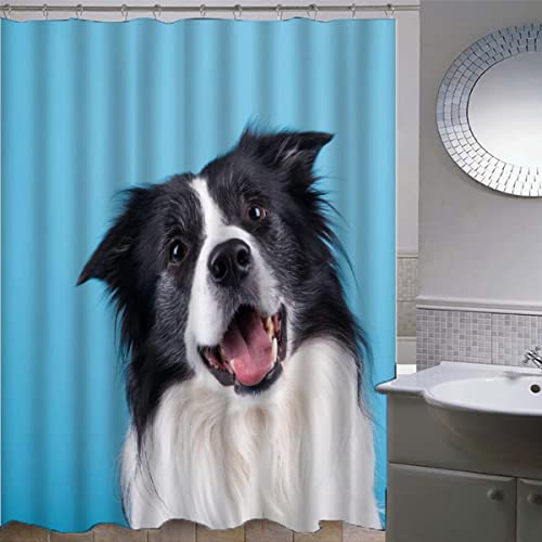 ZLKEJI Duschvorhang 180x200 Border Collie Duschvorhang Set blau Duschvorhänge Wasserdicht Anti-Schimmel Bad Vorhäng Polyester Waschbar Badezimmer Vorhänge 3D Motiv Shower Curtain ZLKEJI Duschvorhang 180x200 Border Collie Duschvorhang Set blau Duschvorhänge Wasserdicht Anti-Schimmel Bad Vorhäng Polyester Waschbar Badezimmer Vorhänge 3D Motiv Shower Curtain von ZLKEJI
