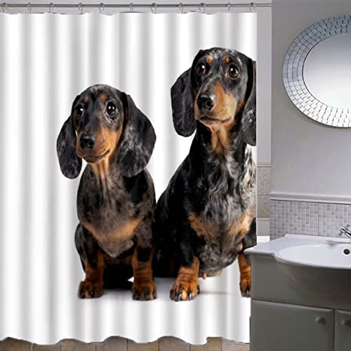 ZLKEJI Duschvorhang 180x200 Dackel Duschvorhang Set Dackel Duschvorhänge Wasserdicht Anti-Schimmel Bad Vorhäng Polyester Waschbar Badezimmer Vorhänge 3D Motiv Shower Curtain von ZLKEJI