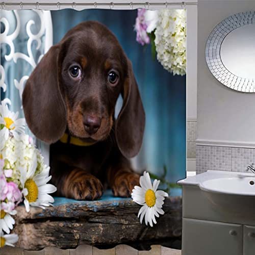 ZLKEJI Duschvorhang 180x200 Dackel Duschvorhang Set Tanhund Duschvorhänge Wasserdicht Anti-Schimmel Bad Vorhäng Polyester Waschbar Badezimmer Vorhänge 3D Motiv Shower Curtain ZLKEJI Duschvorhang 180x200 Dackel Duschvorhang Set Tanhund Duschvorhänge Wasserdicht Anti-Schimmel Bad Vorhäng Polyester Waschbar Badezimmer Vorhänge 3D Motiv Shower Curtain von ZLKEJI