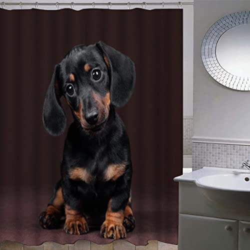 ZLKEJI Duschvorhang 180x200 Dackel Duschvorhang Set brauner Hund Duschvorhänge Wasserdicht Anti-Schimmel Bad Vorhäng Polyester Waschbar Badezimmer Vorhänge 3D Motiv Shower Curtain ZLKEJI Duschvorhang 180x200 Dackel Duschvorhang Set brauner Hund Duschvorhänge Wasserdicht Anti-Schimmel Bad Vorhäng Polyester Waschbar Badezimmer Vorhänge 3D Motiv Shower Curtain von ZLKEJI