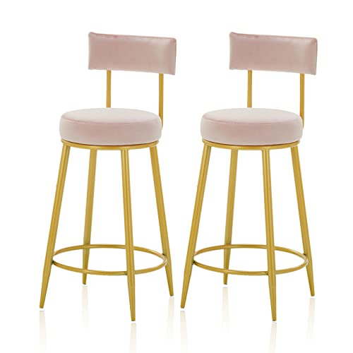 ZLSPON Barhocker Essstuhl 2 PCs Velvet Barhocker Weiche und komfortable Frühstücksküchenschalterstühle, Barstühle Hochhocker mit Fußstütze für Kücheninsel Bright Day von ZLSPON