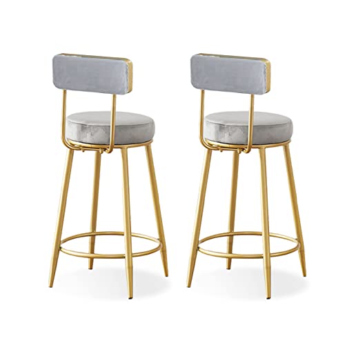 ZLSPON Barhocker Essstuhl Moderne Barhocker Set aus 2 Samtküchen Frühstückstheke 65 cm Sitzhöhe mit Metall Basis Fußstützen Dining Island Pub Party Barhocker-Rasen Bright Day ZLSPON Barhocker Essstuhl Moderne Barhocker Set aus 2 Samtküchen Frühstückstheke 65 cm Sitzhöhe mit Metall Basis Fußstützen Dining Island Pub Party Barhocker-Rasen Bright Day von ZLSPON
