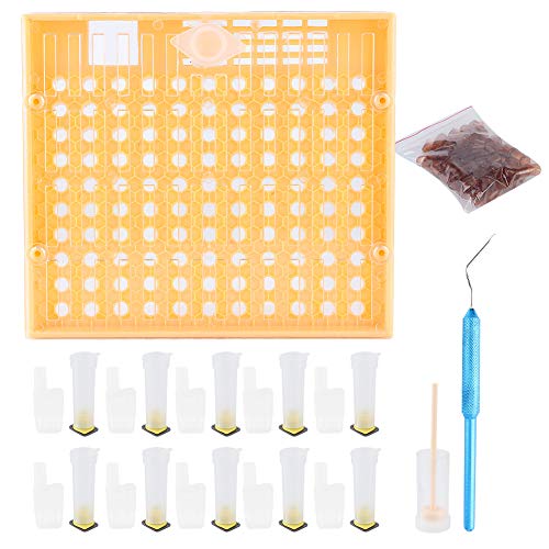 Plastikbienenzellen Cups Kit Königin Aufzuchtsystem Kultivierende Box Königin Käfig Bienenzuchtwerkzeuge Ausrüstung Ausrüstung Plastikbienenzellen Cups Kit Königin Aufzuchtsystem Kultivierende Box Königin Käfig Bienenzuchtwerkzeuge Ausrüstung Ausrüstung von ZLXCAOB