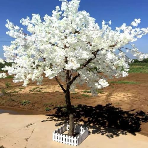 ZLZNX Kirschblütenbaum Künstliche Bäume Kirschblütenzweige Gefälschte Sakura-Blumen Baum Für Den Frühling Zuhause Hochzeit Party Büro Drinnen Und Draußen,1,1.8 * 1.5m ZLZNX Kirschblütenbaum Künstliche Bäume Kirschblütenzweige Gefälschte Sakura-Blumen Baum Für Den Frühling Zuhause Hochzeit Party Büro Drinnen Und Draußen,1,1.8 * 1.5m von ZLZNX