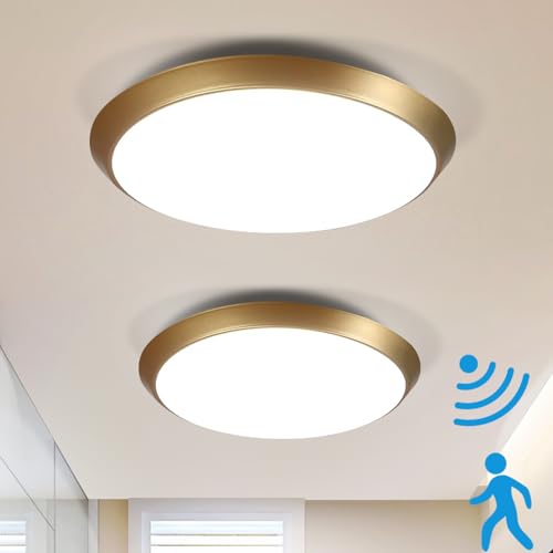 ZMH 2ER Deckenlampe LED Deckenleuchte mit Bewegungsmelder - Kellerlampe 15W Ø30cm Flurlampe Rund Keller Deckenbeleuchtung Innen 4000K Sensor Lampe IP44 Gold für Balkon Werkstatt Treppenhaus von ZMH