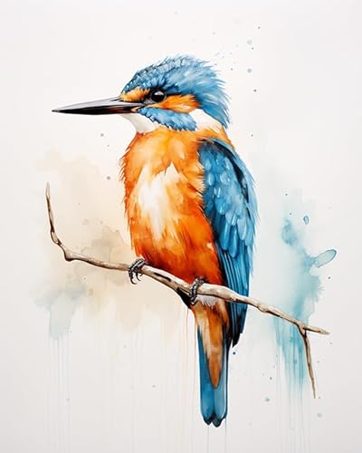 Malen nach Zahlen Aquarell-Eisvogel Painting by Numbers Kit DIY ölgemälde Kit für Erwachsene,Anfänger Painting Set 16x20 Zoll Leinwanddruck Wandkunst Dekoration von ZMHZMY