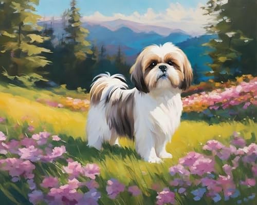 Malen nach Zahlen DIY Handgemalt Ölgemälde Kits für Erwachsene Anfänge Shih Tzu Hund Malen Nach Zahlen Kits für Geschenk Home Deko 40×50cm(Rahmenlos) von ZMHZMY