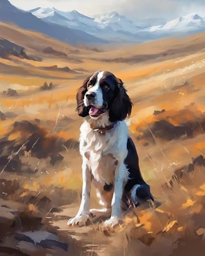 Malen nach Zahlen DIY Handgemalt Ölgemälde Kits für Erwachsene Anfänge Springer Spaniel Hund am Hang Malen Nach Zahlen Kits für Geschenk Home Deko 40×50cm(Rahmenlos) von ZMHZMY