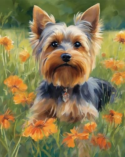 Malen nach Zahlen Yorkshire-Terrier-Blumenwiese Painting by Numbers Kit DIY ölgemälde Kit für Erwachsene,Anfänger Painting Set 16x20 Zoll Leinwanddruck Wandkunst Dekoration von ZMHZMY