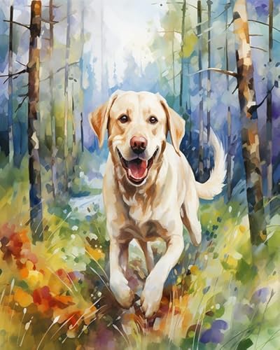 Malen nach Zahlen für Erwachsene,Anfänger-Sets mit Pinseln und Acrylpigmenten,DIY-Leinwandgemälde,Labrador läuft im Wald,40x50cm,handgemaltes Spielzeug,Geschenke von ZMHZMY