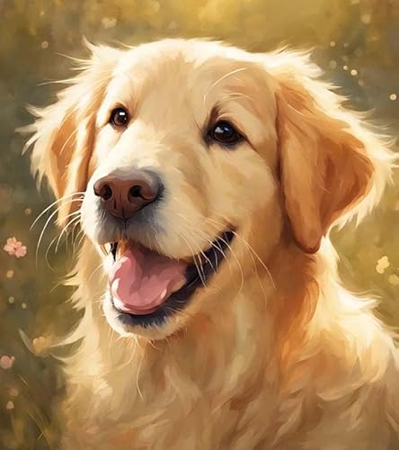 Malen nach Zahlen für Erwachsene,Anfänger auf Leinwand, Tierhund Golden Retriever,handgefertigtes Ölgemälde-Set für die Wanddekoration zu Hause 40x50 cm von ZMHZMY