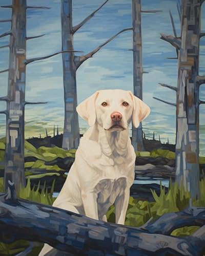 Malen nach Zahlen zum Selbermachen,Weißer Labrador Retriever-Hund,Malkunst und Kunsthandwerk,Digitales Ölgemälde-Set,Bildkunst,40x50cm,Ohne Rahmen Malen nach Zahlen zum Selbermachen,Weißer Labrador Retriever-Hund,Malkunst und Kunsthandwerk,Digitales Ölgemälde-Set,Bildkunst,40x50cm,Ohne Rahmen von ZMHZMY