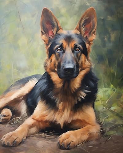 ZMHZMY Malen-nach-Zahlen-Set für Erwachsene,DIY-Ölgemälde-Set auf Leinwand für Anfänger mit Pinseln,Acrylpigmenten,Deutscher Schäferhund,40x50cm,Ohne Rahmen von ZMHZMY