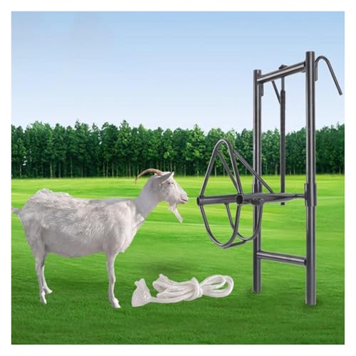ZMJGLL Verstellbarer Schafkopfständer, anhebbarer Ziegenständer aus Metall zum Hufschneiden, Scheren und Melken, Schafkopfhalterung für den landwirtschaftlichen Haushalt ZMJGLL Verstellbarer Schafkopfständer, anhebbarer Ziegenständer aus Metall zum Hufschneiden, Scheren und Melken, Schafkopfhalterung für den landwirtschaftlichen Haushalt von ZMJGLL