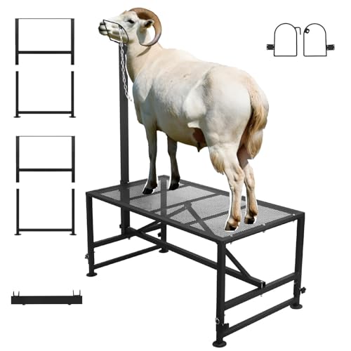 ZMJGLL Ziegenmelkstand, Bauernstand, Schafstand zum Scheren, Eisen-Livestock-Stand mit verstellbarem Kopfstück, Stabiler Schafstand höhenverstellbar ZMJGLL Ziegenmelkstand, Bauernstand, Schafstand zum Scheren, Eisen-Livestock-Stand mit verstellbarem Kopfstück, Stabiler Schafstand höhenverstellbar von ZMJGLL
