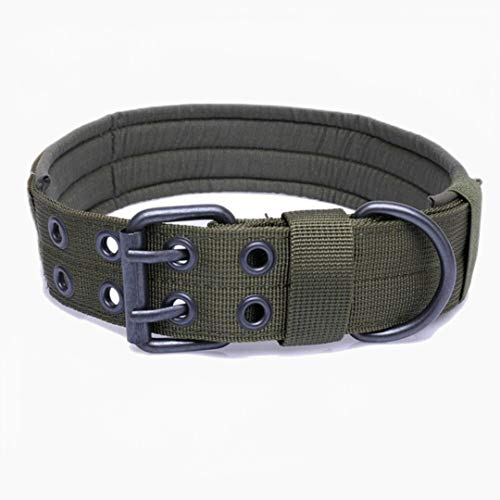 Militärisches taktisches Hundehalsband Langlebiges verstellbares Halsband Outdoor-Training Hundehalsbänder für große Hunde-Grün, M. von ZMKW