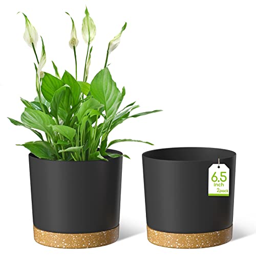 ZMTECH Blumentopf 16,5 cm Durchmesser übertöpfe für zimmerpflanzen, Kunststoff blumentöpfe mit Untersetzer und Abflusslöchern, Rund pflanztöpfe für Innen Außen Pflanzen(2er-Set, Dunkel Grau) von ZMTECH
