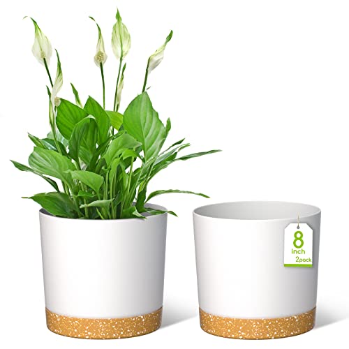 ZMTECH Blumentopf 20 cm Durchmesser übertöpfe für zimmerpflanzen, Kunststoff blumentöpfe mit Untersetzer und Abflusslöchern, Rund pflanztöpfe für Innen Außen Pflanzen(2er-Set, Weiß) von ZMTECH