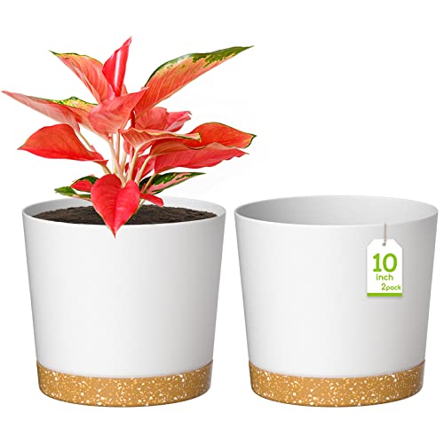 ZMTECH Blumentopf 25 cm Durchmesser übertöpfe für zimmerpflanzen, Kunststoff blumentöpfe mit Untersetzer und Abflusslöchern, Rund pflanztöpfe für Innen Außen Pflanzen(2er-Set, Weiß) von ZMTECH