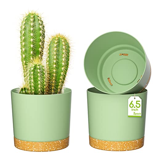 ZMTECH Blumentopf 16,5 cm Durchmesser übertöpfe für zimmerpflanzen, Kunststoff blumentöpfe mit Untersetzer und Abflusslöchern, Rund pflanztöpfe für Innen Außen Pflanzen(3er-Set, Grün) von ZMTECH
