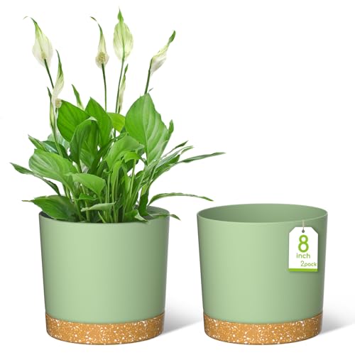 ZMTECH Blumentopf 20 cm Durchmesser übertöpfe für zimmerpflanzen, Kunststoff blumentöpfe mit Untersetzer und Abflusslöchern, Rund pflanztöpfe für Innen Außen Pflanzen(2er-Set, Grün) von ZMTECH