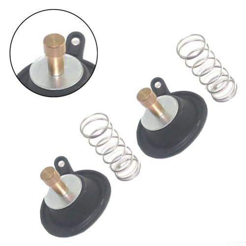 Vergaser Reparatursatz Suzuki VS1400 VS700 VS800 VZ800 LS650 VX800 inkl. 2 Sets von ZMdooreasy