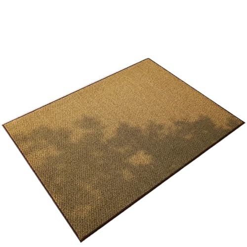 FußMatten FüR Den Innenbereich Fußmatte aus Polypropylenfaser. Rutschfeste und wasserabsorbierende Teppiche, Balkon, Eingangsbereich, verschleißfest. Reinigen der Schuhsohlen FüR Innen(60x90cm) von ZNJAMN