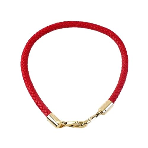 ZNJAMN Geflochtener Taschengurt 4 Stück 30–60 cm Bunte Taschengurte aus PU-Leder for Handtaschengriffe, Goldfarbene Kettenschnalle, Webriemen, DIY-Taschenzubehör FüR Taschen(Color 6,60cm) von ZNJAMN