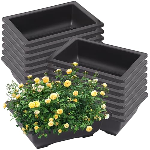 ZOENHOU 15 Stück Kunststoff Bonsai Trainingstöpfe Bonsai Training Pot Trainings Töpfe Quadratisch Bonsai Topf Pflanzen Topf Bonsai für Garten Hof Wohnen Zimmer, 22,5x16,5x7,5cm von ZOENHOU