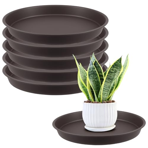 ZOENHOU 6 Stück Runde Blumentopf Untersetzer 30 cm, Dicke PP-Kunststoff Pflanzenuntersetzer Pflanzenschale für Innen und Außen, Stabiler Blumentopf-Untersetzer mit 3 cm Höhe von ZOENHOU