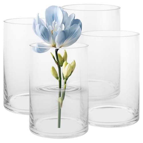 ZOFUN 4 Stück 15cm Glasvase Gross Klar Glasvase Zylinder Runde, Glaszylinder Vase Kleine Vasen für Tischdeko, Rosen, Tulpen, Pampasgras, Tischdeko, Kerze von ZOFUN