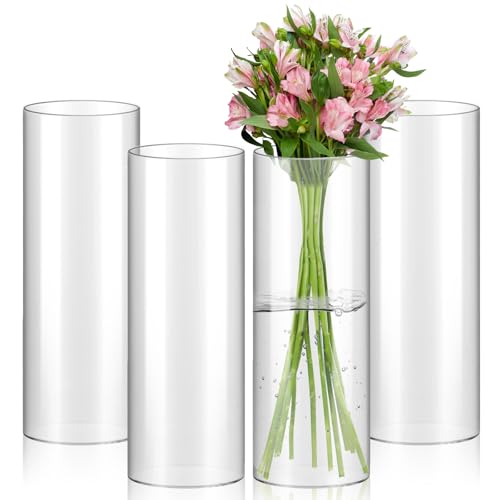 ZOFUN 4 Stücke Glas Blumenvase,Modern Zylinder Vase 25cm Hoch Glasvase Gross Klar Glasvase Zylinder Runde, Blumenvase Glas Vasen Vase Groß für Orchideen, Rosen, Tulpen, Pampasgras, Tischdeko von ZOFUN
