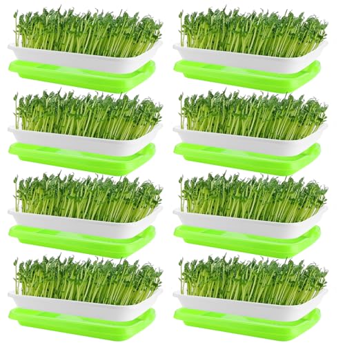 ZOFUN 8 Stück Keimschalen für Sprossen Seed Sprouter Tray 34x25cm Keimung Tablett Kunststoff Samen Keimung Tablett Seed Sprouter Tray für Anzucht von Mungbohnen Alfalfa Weizengras von ZOFUN