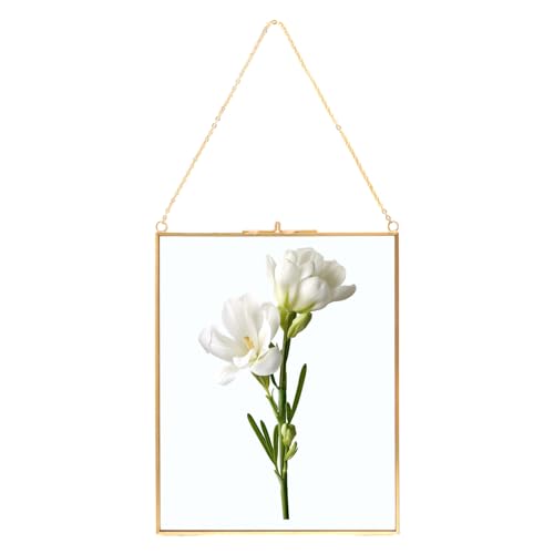 ZOFUN Bilderrahmen aus Kupfer, 25x20cm Hängender Glas-Bilderrahmen Glasrahmen Messing Hängende schwimmende Glas Fotorahmen, Gold Geometrische Ornament Pflanze Probe Clip von ZOFUN