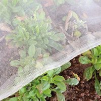 Ineasicer Gartennetz, Insektenschutz, Gemüsegarten: 2 x 5 m, feinmaschiger Schutz für Lauch, Obstbaum, Gartenarbeit, weißer Pflanzenschleier Ineasicer Gartennetz, Insektenschutz, Gemüsegarten: 2 x 5 m, feinmaschiger Schutz für Lauch, Obstbaum, Gartenarbeit, weißer Pflanzenschleier von ZOLGINAH