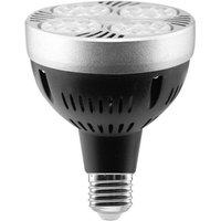 Ineasicer LED-Glühbirne, 35 W, PAR30, E27, Spot, 4000 K, neutrales Licht [Energieklasse A+] von ZOLGINAH