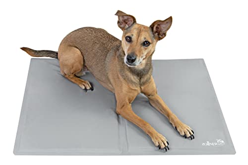 ZOLLNER Kühlmatte für kleine Hunde, ca. 50x65 cm, selbstkühlend, hellgrau von ZOLLNER