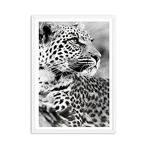 Cheetah leopard poster und druckt schwarz weiß tier wandkunst leinwand malerei wandbilder für wohnzimmer wohnkultur (Color : A, Size : 21x30cm No Frame) von ZONJEE